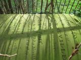 image of grave number 281332